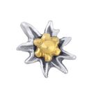 TW47: Edelweiss bicolor 4,0 x 3,0 mm